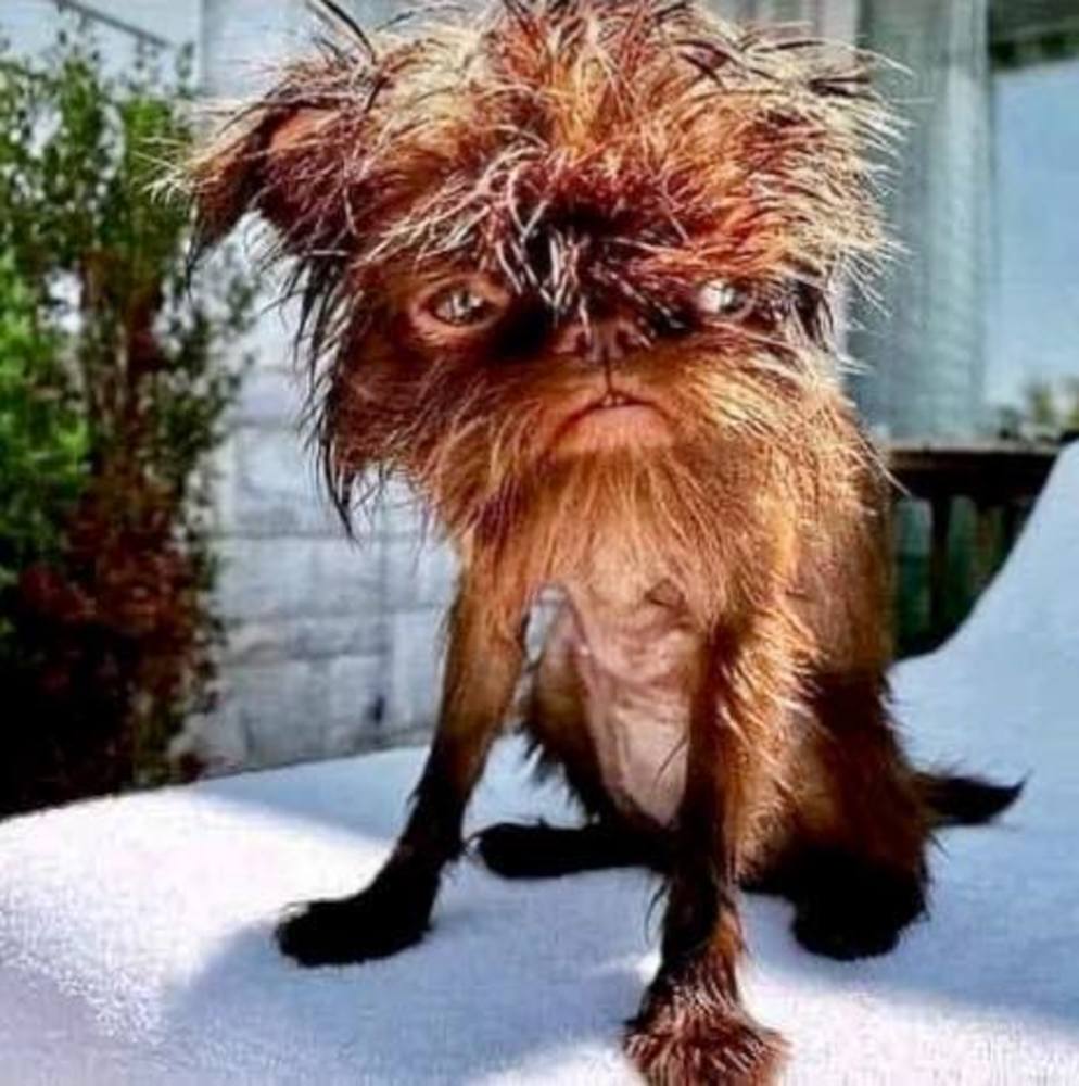 Meet your Posher, Cristina